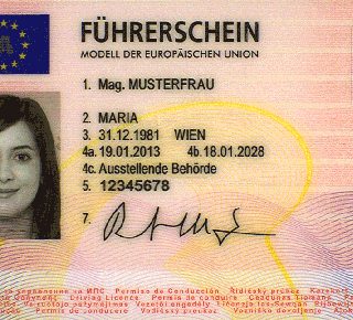 AUSTRIAN DRIVER’S LICENSE