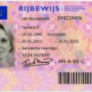 DUTCH DRIVER’S LICENSE