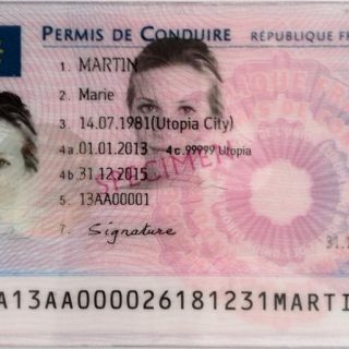 FRENCH DRIVER’S LICENSE