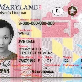 MARYLAND ID CARD