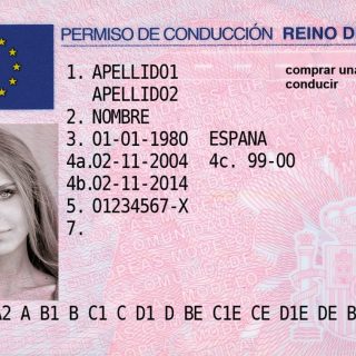 SPANISH DRIVER’S LICENSE ONLINE