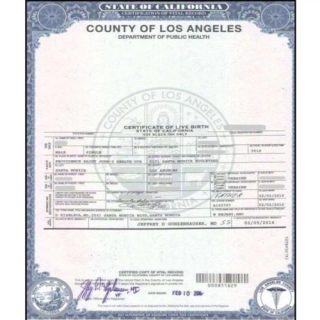 Buy Real Certificates
